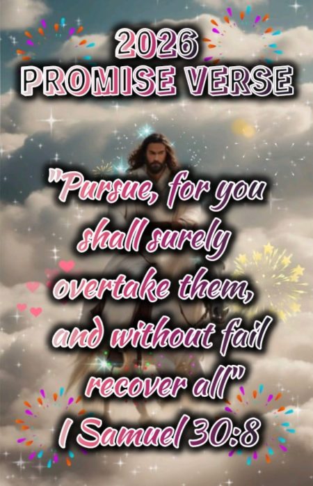 WhatsApp Image 2025-12-31 at 9.23.55 PM